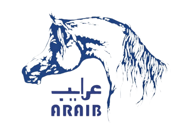 Araib Server Logo